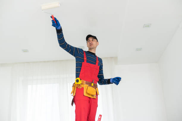 Best Basement Mold Removal  in Conway, SC